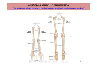ANATOMIA MUSCULOESQUELÉTICA
(Os próximos slides trazem o conhecimento anatômico mínimo necessário)
 
