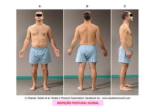 INSPEÇÃO POSTURAL GLOBAL
 