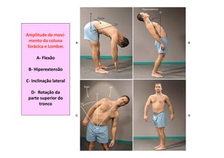 Amplitude de movi-
mento da coluna
Torácica e Lombar.
A- Flexão
B- Hiperextensão
C- Inclinação lateral
D- Rotação da
parte superior do
tronco
 