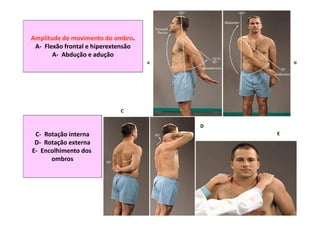 Amplitude de movimento do ombro.
A- Flexão frontal e hiperextensão
A- Abdução e adução
C- Rotação interna
D- Rotação externa
E- Encolhimento dos
ombros
C
D
E
 