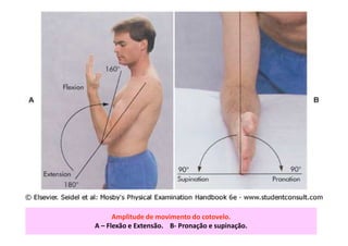 Amplitude de movimento do cotovelo.
A – Flexão e Extensão. B- Pronação e supinação.
 