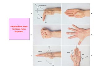 Amplitude de movi-
mento da mão e
do punho.
 