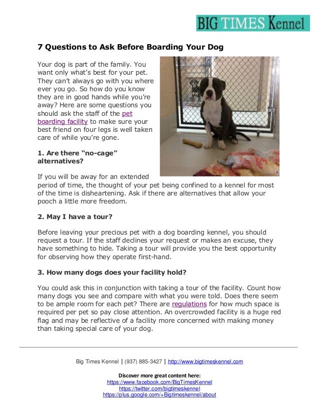 7 Questions to Ask Before Boarding Your Dog