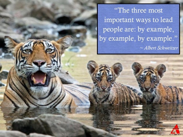 7 Quotes for Greater Good