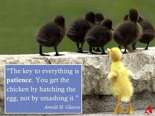 7 Quotes for Greater Good