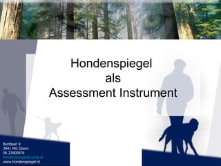 Hondenspiegel  als Assessment Instrument 