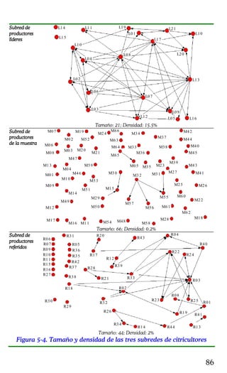 86
Subred deSubred deSubred deSubred de
productoresproductoresproductoresproductores
lídereslídereslídereslíderes
L14
L15
L11
L10
L04
L02
L06
L03
L08
L19
L01
L07
L21
L17
L12
L10
L13
L20
L16
L09
L05
Tamaño: 21; Densidad: 15.5%
Subred deSubred deSubred deSubred de
productoresproductoresproductoresproductores
de la muestrade la muestrade la muestrade la muestra
M07
M06
M08
M13
M01
M09
M12
M03
M04
M10
M14
M49
M16
M17
M02
M19
M52
M20
M21
M47
M59
M11
M29
M54
M50
M51
M53
M46
M24
M66
M63
M64
M65
M05
M30
M33
M35
M62
M15
M57
M48
M32
M34
M37
M41
M36
M26M25
M60
M58
M61
M28 M18
M56
M22
M55
M42
M44
M40
M45
M38
M27
M43
M39
M23
M31
Tamaño: 66; Densidad: 0.2%
Subred deSubred deSubred deSubred de
productoresproductoresproductoresproductores
referidosreferidosreferidosreferidos
R31 R20
R28
R21
R32
R26
R02
R14
R40
R24
R08
R13
R41
R17
R43
R04
R12
R39
R33
R34
R44
R22
R23 R25 R01
R19
R06
R10
R07
R09
R11
R15
R16
R27
R30
R29
R18
R38
R37
R42
R35
R36
R05
R03
Tamaño: 44; Densidad: 2%
Figura 5-4. Tamaño y densidad de las tres subredes de citricultores
 