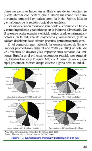 24
datos no permite hacer un análisis claro de tendencias, se
puede afirmar con certeza que el limón mexicano tiene im-
portancia comercial en países como la India, Egipto, México
y en algunos de la región tropical de América.
Los usos de limón mexicano van desde el consumo en fresco
y como ingrediente y saborizante en la industria alimentaria. De
él se extrae aceite esencial y el ácido cítrico usado en alimentos y
bebidas, en la industria de cosméticos y farmacéutica, y de la
cáscara deshidratada se extraen pectinas, entre otros productos.
En el comercio internacional, las exportaciones de limas y
limones promediaron entre el año 2000 y el 2003 un total de
723 millones de dólares y las importaciones sumaron 843 mi-
llones. España es el principal exportador seguido por Argenti-
na, Estados Unidos y Turquía. México. A pesar de ser el prin-
cipal productor, México ocupa el sexto lugar a nivel mundial.
México (15%)
India (12%)
Argentina (10%)
España (9%)EUA (7%)
Italia (5%)
Turquía (4%)
Otros (21%)
Brasil (5%)
Irán (9%)
China (3%)
México (16%)
India (15%)
Irán (7%)
Brasil (7%)
España (6%)
EUA(3%)
Otros (29%)
Tailandia (3%)
Italia (4%)
Argentina (5%)
China (5%)
Superficie sembrada: 757,610 hectáreas* Producción: 11,319,846 toneladas*
España (34%)
Argentina (13%)EUA (11%)
Turquía (10%)
México (7%)
Países Bajos (6%)
Otros (10%)
Italia (2%)
Bélgica (2%)
Chile (2%)
Sudáfrica (3%)
Turquía (5%)
México (15%)
India (12%)
Argentina (10%)
España (9%)EUA (7%)
Italia (5%)
Otros (21%)
Brasil (5%)
Irán (9%)
China (3%)
Importaciones: 843.1 millones de dólares Exportaciones: 723.4 millones de dólares
* Las cifras corresponden a promedios del periodo 2000-2003.
Fuente: Elaboración propia con datos de FAOSTAT, 2004.
Figura 3-1. La citricultura mundial y participación por país
 