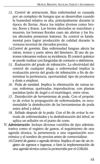MUÑOZ, RENDÓN, AGUILAR, GARCÍA Y ALTAMIRANO
43
13. Control de antracnosis. Esta enfermedad es causada
por un complejo de hongos que se desarrollan cuando
la humedad relativa es alta, principalmente durante la
época de lluvias. Ataca los tejidos jóvenes como bro-
tes, flores y frutos. Los brotes afectados se marchitan y
mueren; los botones florales caen sin abrirse y los fru-
tos afectados presentan lesiones. Su control es funda-
mental para lograr producción de calidad durante la
ventana invernal de elevados precios.
14.Control de gomósis. Esta enfermedad fungosa afecta las
raíces, tronco y parte aérea del limonero. El uso de pa-
trones tolerantes reduce su incidencia. El control químico
se puede realizar con fungicidas de contacto o sistémicos.
15. Evaluación del grado de infestación. La efectividad del
control de cualquier plaga o enfermedad implica la
evaluación previa del grado de infestación a fin de de-
terminar la pertinencia, oportunidad, tipo de productos
y dosis a emplear.
16. Poda de sanidad. Implica la eliminación de ramas se-
cas, enfermas, quebradas, improductivas, con plantas
parásitas (pelo de ángel o el muérdago), entre otras.
17. Desinfección de herramientas de poda. Con el propósi-
to de evitar la propagación de enfermedades, es reco-
mendable la desinfección de las herramientas de poda
entre árbol y árbol.
18. Sellado después de la poda. Con el fin de evitar la en-
trada de enfermedades y la deshidratación del árbol, se
aplica un sellador en el punto de corte.
V. AdministraciónV. AdministraciónV. AdministraciónV. Administración. Incluye diversas variables de tipo adminis-
trativo como el registro de gastos, el seguimiento de una
agenda técnica, la pertenencia a una organización eco-
nómica y el sondeo de precios antes de comercializar.
19.Control de gastos o agenda técnica. Implica el uso de un re-
gistro de egresos e ingresos, o bien la implementación de
una agenda técnica como la promovida por el COELIM.
 