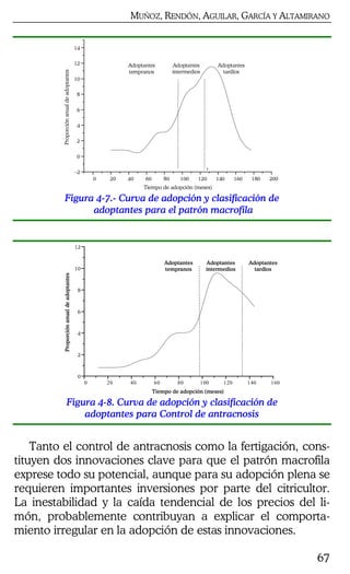 MUÑOZ, RENDÓN, AGUILAR, GARCÍA Y ALTAMIRANO
67
Proporciónanualdeadoptantes
0 20 40 60 80 100 120 140 160 180 200
–2
0
2
4
6
8
10
12
14
Adoptantes
tardíos
Adoptantes
intermedios
Adoptantes
tempranos
Tiempo de adopción (meses)
Figura 4-7.- Curva de adopción y clasificación de
adoptantes para el patrón macrofila
Proporciónanualdeadoptantes
0 20 40 60 80 100 120 140 160
0
2
4
6
8
10
12
Adoptantes
tardíos
Adoptantes
intermedios
Adoptantes
tempranos
Tiempo de adopción (meses)
Figura 4-8. Curva de adopción y clasificación de
adoptantes para Control de antracnosis
Tanto el control de antracnosis como la fertigación, cons-
tituyen dos innovaciones clave para que el patrón macrofila
exprese todo su potencial, aunque para su adopción plena se
requieren importantes inversiones por parte del citricultor.
La inestabilidad y la caída tendencial de los precios del li-
món, probablemente contribuyan a explicar el comporta-
miento irregular en la adopción de estas innovaciones.
 