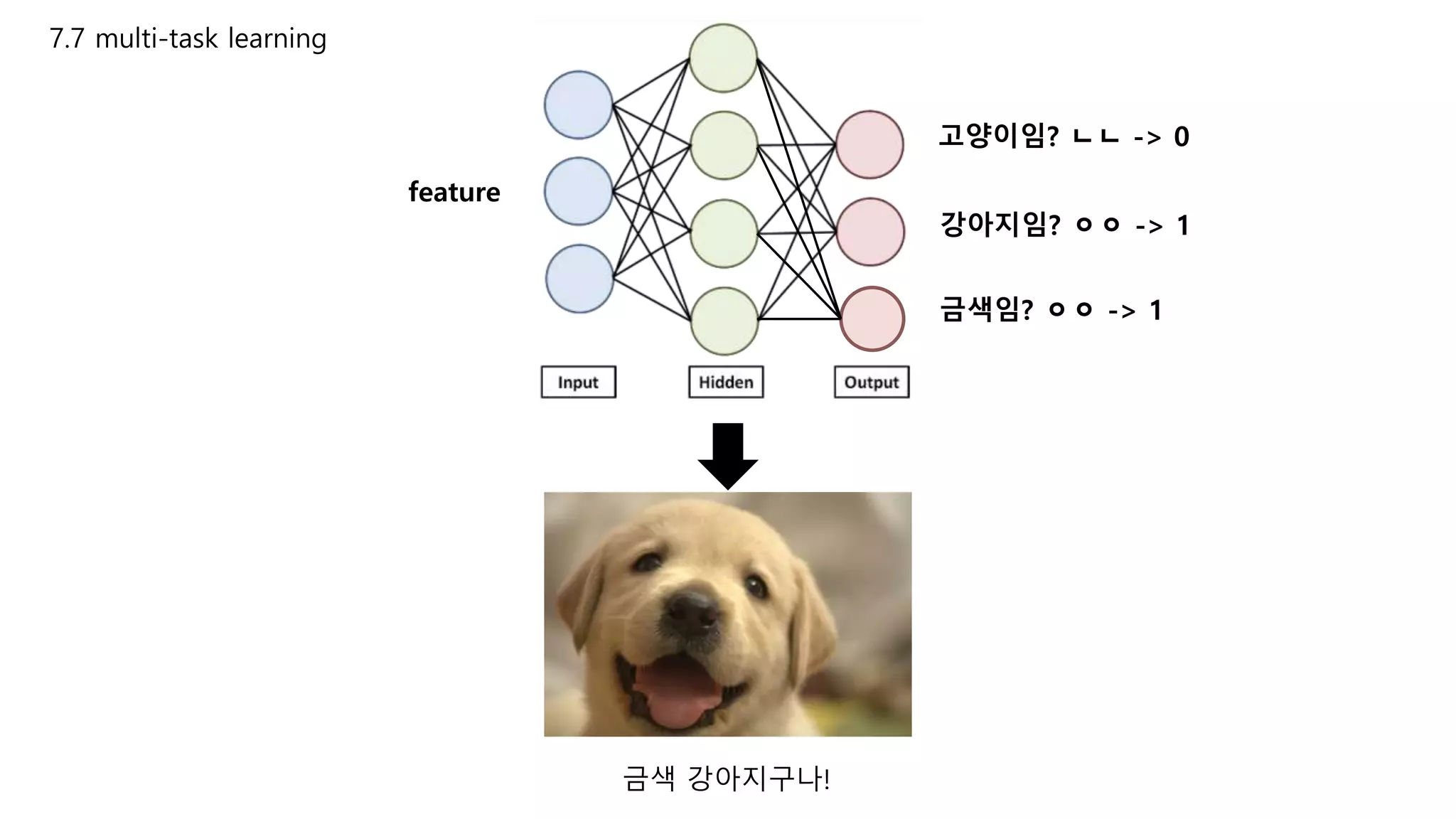 7.7 multi-task learning
feature
고양이임? ㄴㄴ -> 0
강아지임? ㅇㅇ -> 1
금색임? ㅇㅇ -> 1
금색 강아지구나!
 