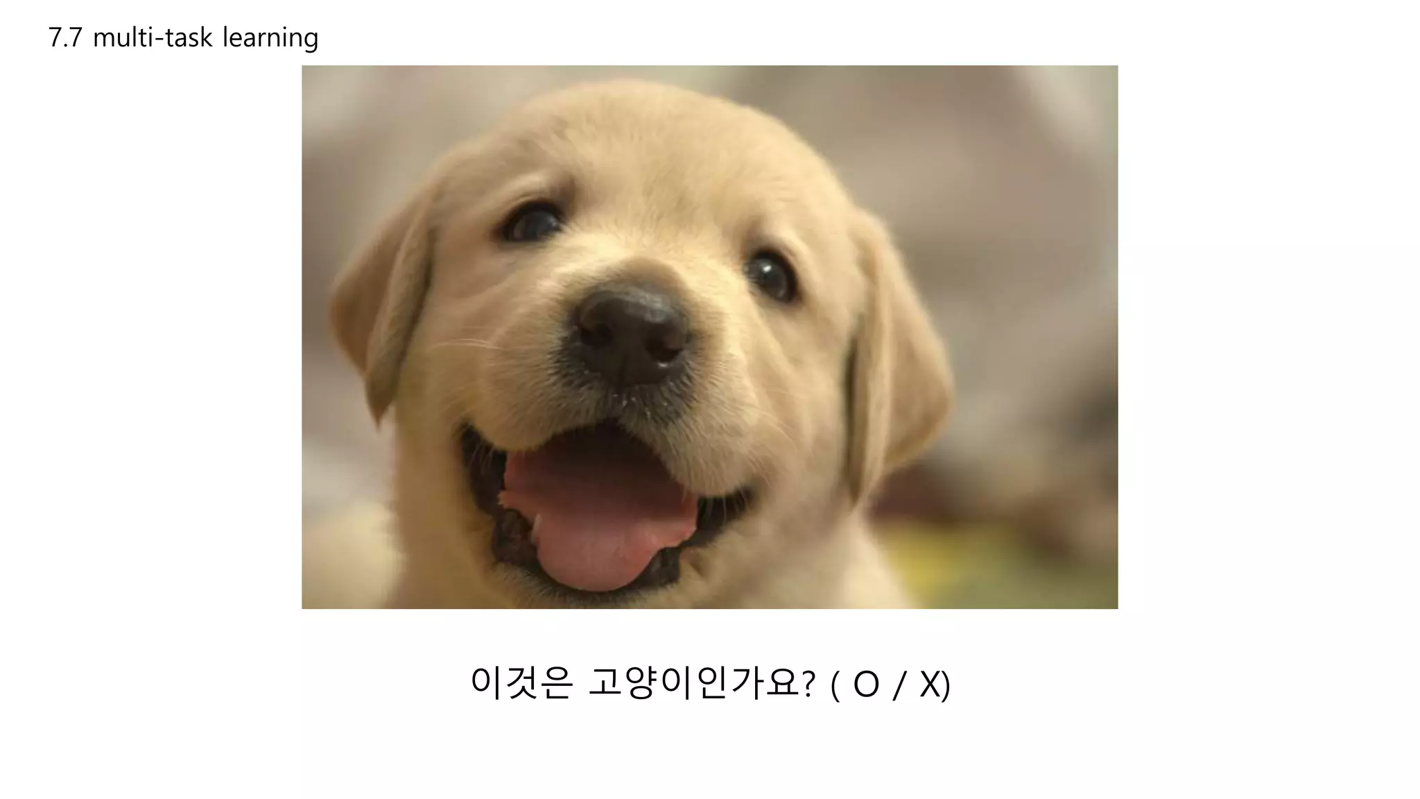 7.7 multi-task learning
이것은 고양이인가요? ( O / X)
 