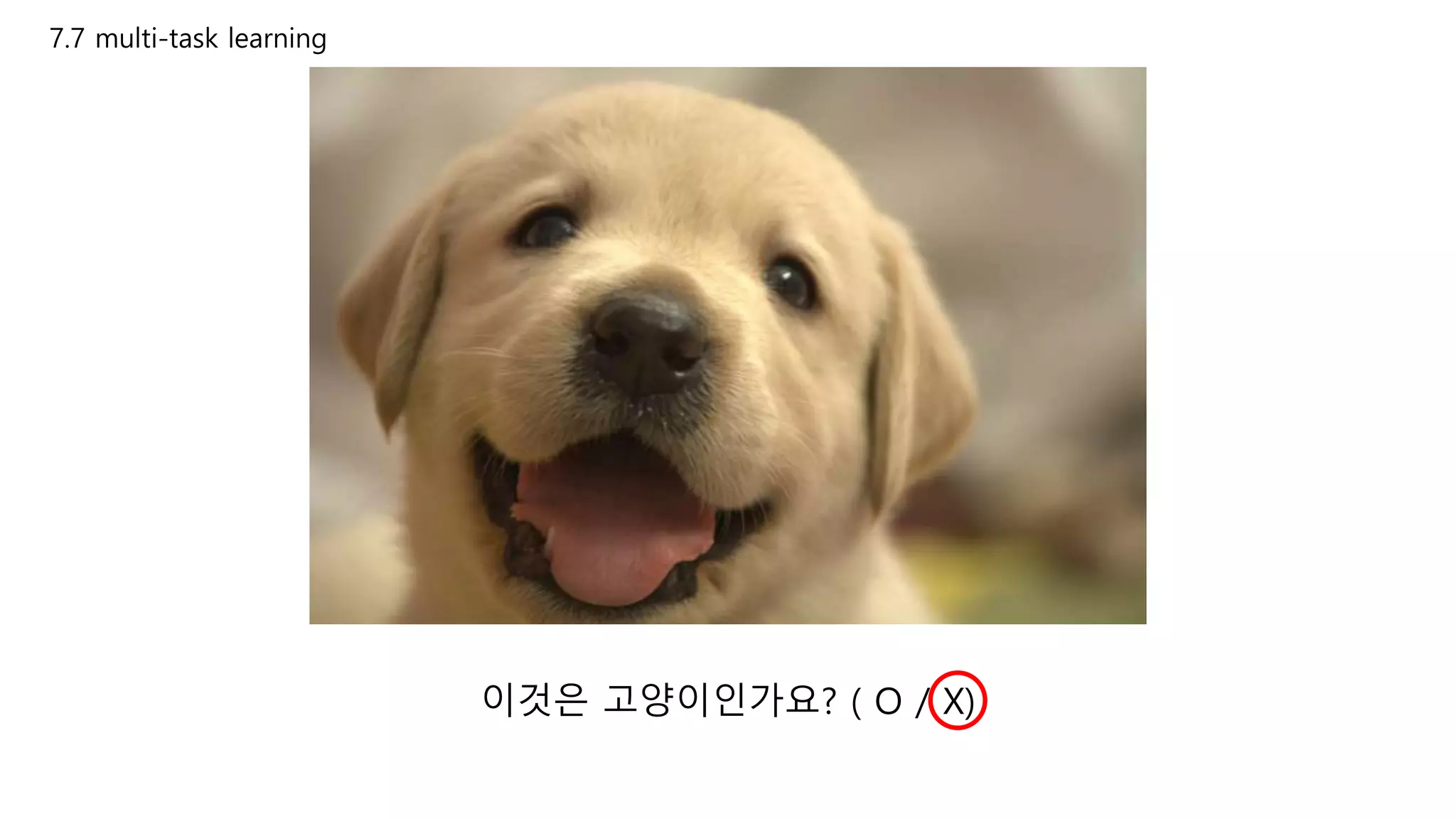 7.7 multi-task learning
이것은 고양이인가요? ( O / X)
 