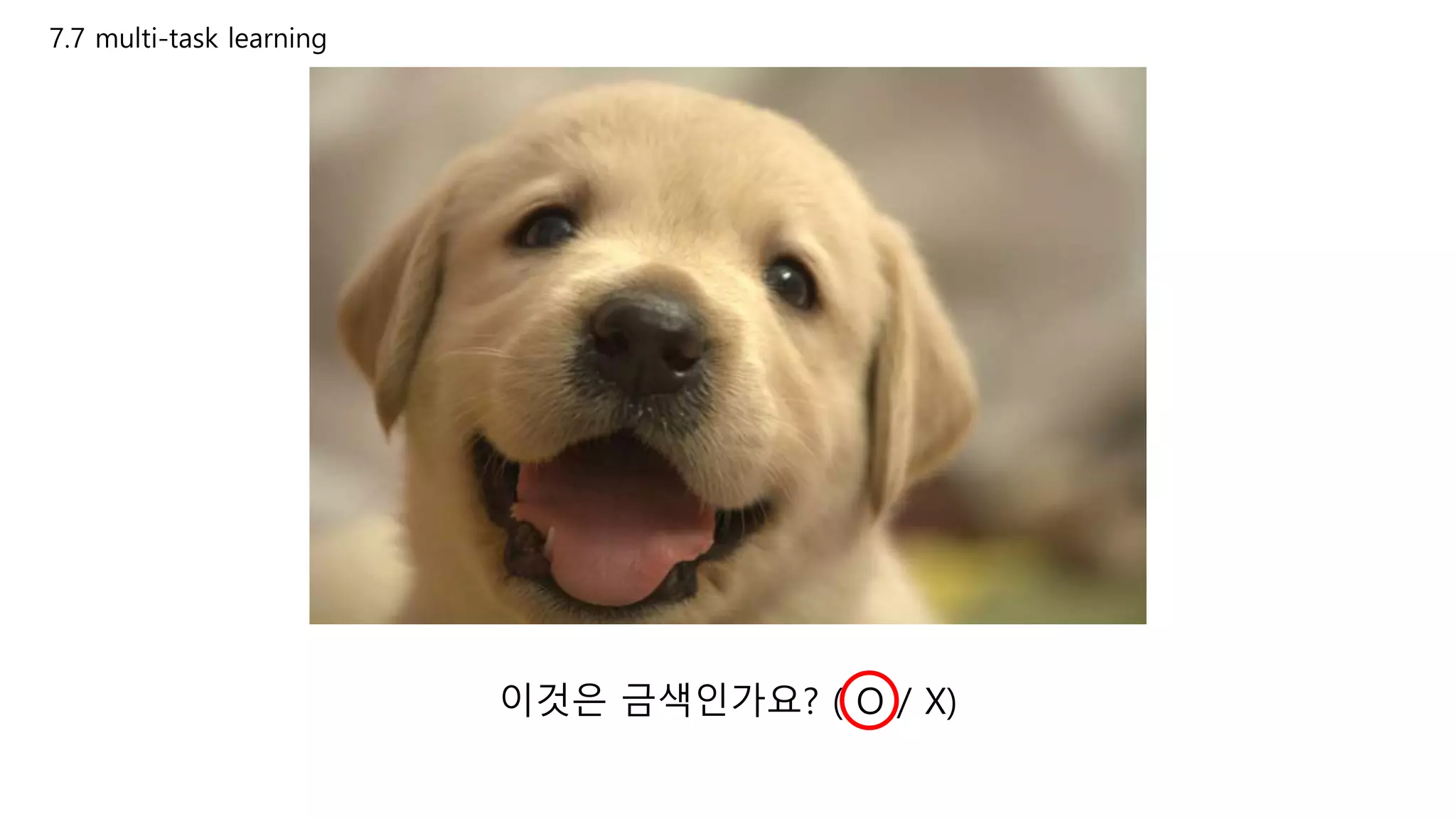 7.7 multi-task learning
이것은 금색인가요? ( O / X)
 