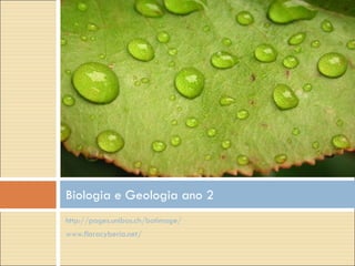 http://pages.unibas.ch/botimage/   www.floracyberia.net/ Biologia e Geologia ano 2 