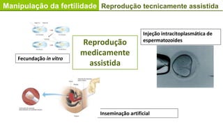 Manipulação da fertilidade Reprodução tecnicamente assistida
Inseminação artificial
Injeção intracitoplasmática de
espermatozoides
Fecundação in vitro
Reprodução
medicamente
assistida
 
