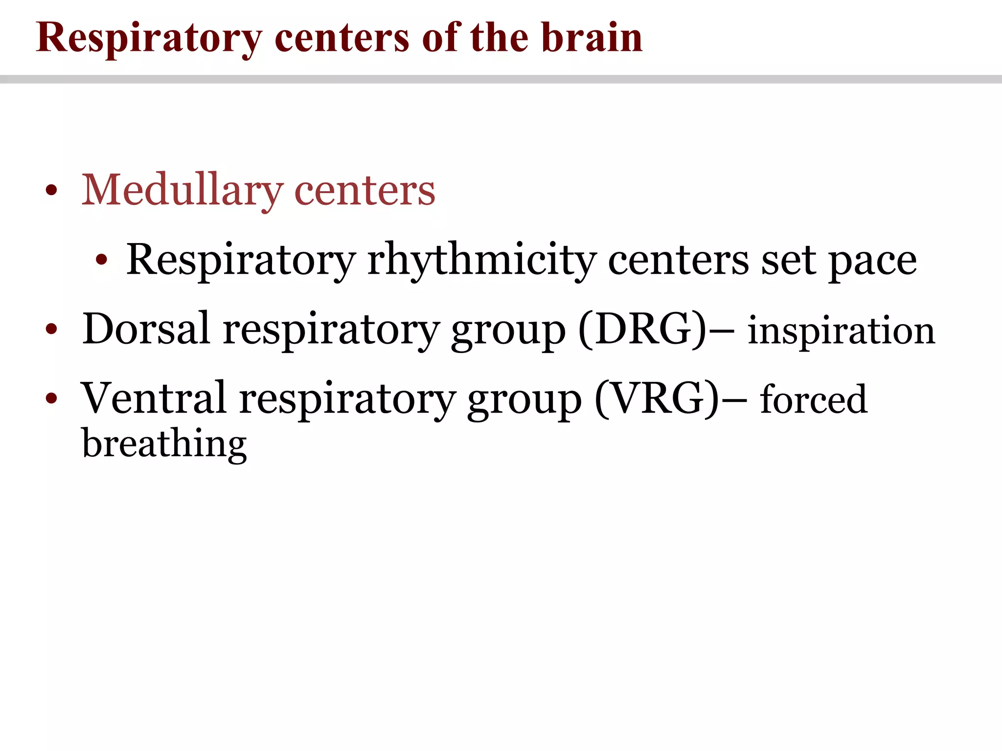 • Medullary centers
• Respiratory rhythmicity centers set pace
• Dorsal respiratory group (DRG)– inspiration
• Ventral respiratory group (VRG)– forced
breathing
Respiratory centers of the brain
 