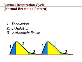 respiratory system Physiology | PPT