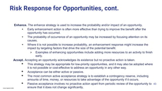 Comprehensive Guide to Project Risk Management Processes and Planning | PDF
