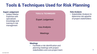 Expert Judgment Risk Technique Comprehensive Guide to Project Risk Management Processes and Planning | PDF