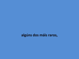 algúns dos máis raros,
 