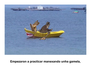 Empezaron a practicar manexando unha gamela,
 