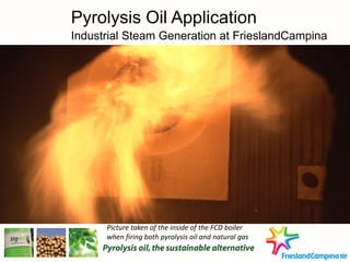 Pyrolysis Oil Application
Industrial Steam Generation at FrieslandCampina
Picture taken of the inside of the FCD boiler
when firing both pyrolysis oil and natural gas
 