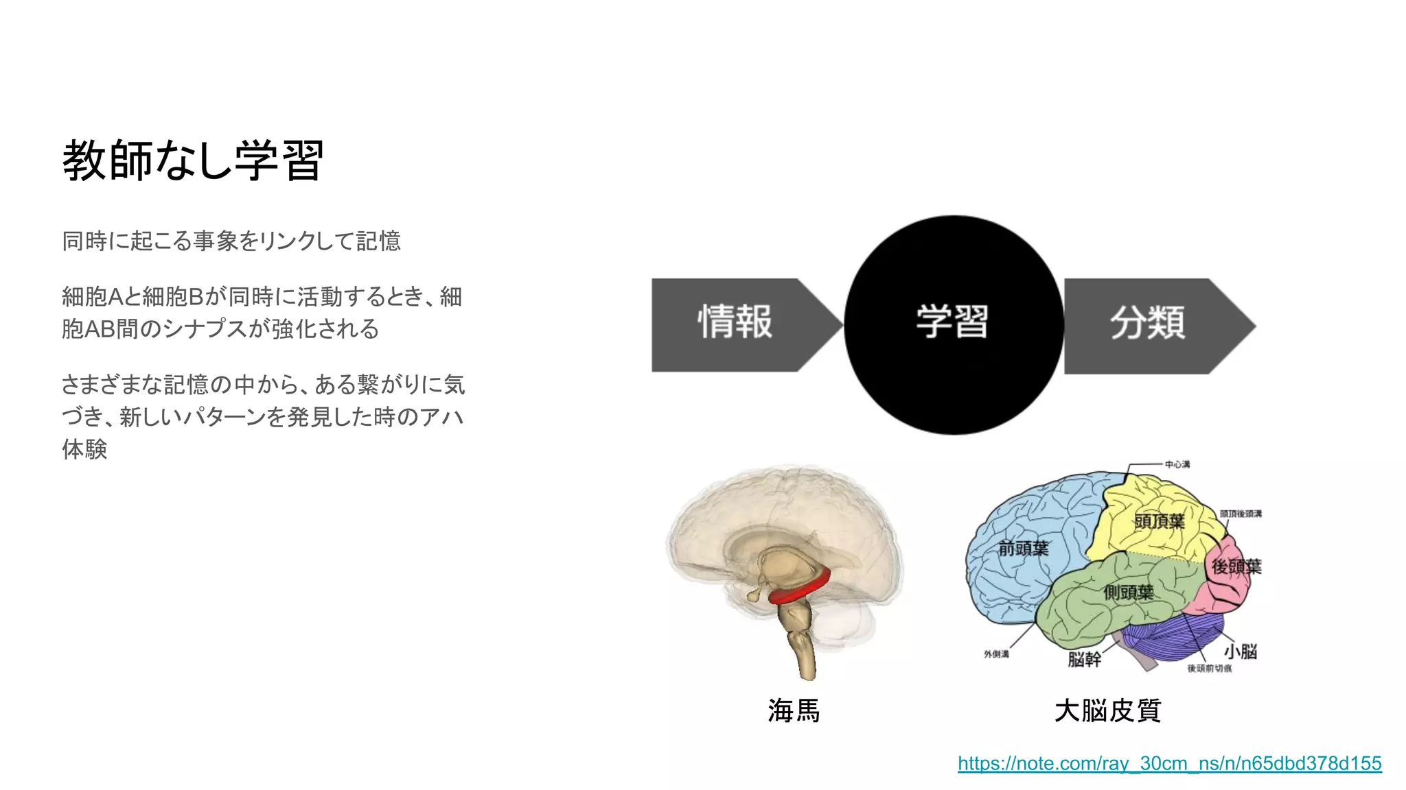教師なし学習
同時に起こる事象をリンクして記憶
細胞Aと細胞Bが同時に活動するとき、細
胞AB間のシナプスが強化される
さまざまな記憶の中から、ある繋がりに気
づき、新しいパターンを発見した時のアハ
体験
海馬 大脳皮質
https://note.com/ray_30cm_ns/n/n65dbd378d155
 