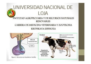 UNIVERSIDAD NACIONAL DE
LOJA
FACULTAD AGROPECUARIA Y DE RECURSOS NATURALES
RENOVABLES
CARRERA DE MEDICINA VETERINARIA Y ZOOTECNIA
KRUPSKAYA ESPINOZA
 