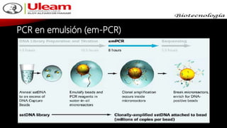 PCR en emulsión (em-PCR)
 
