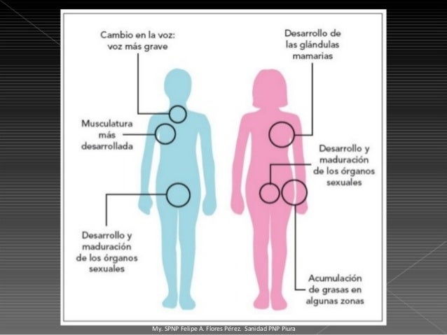 Sexualidad en la adolescencia