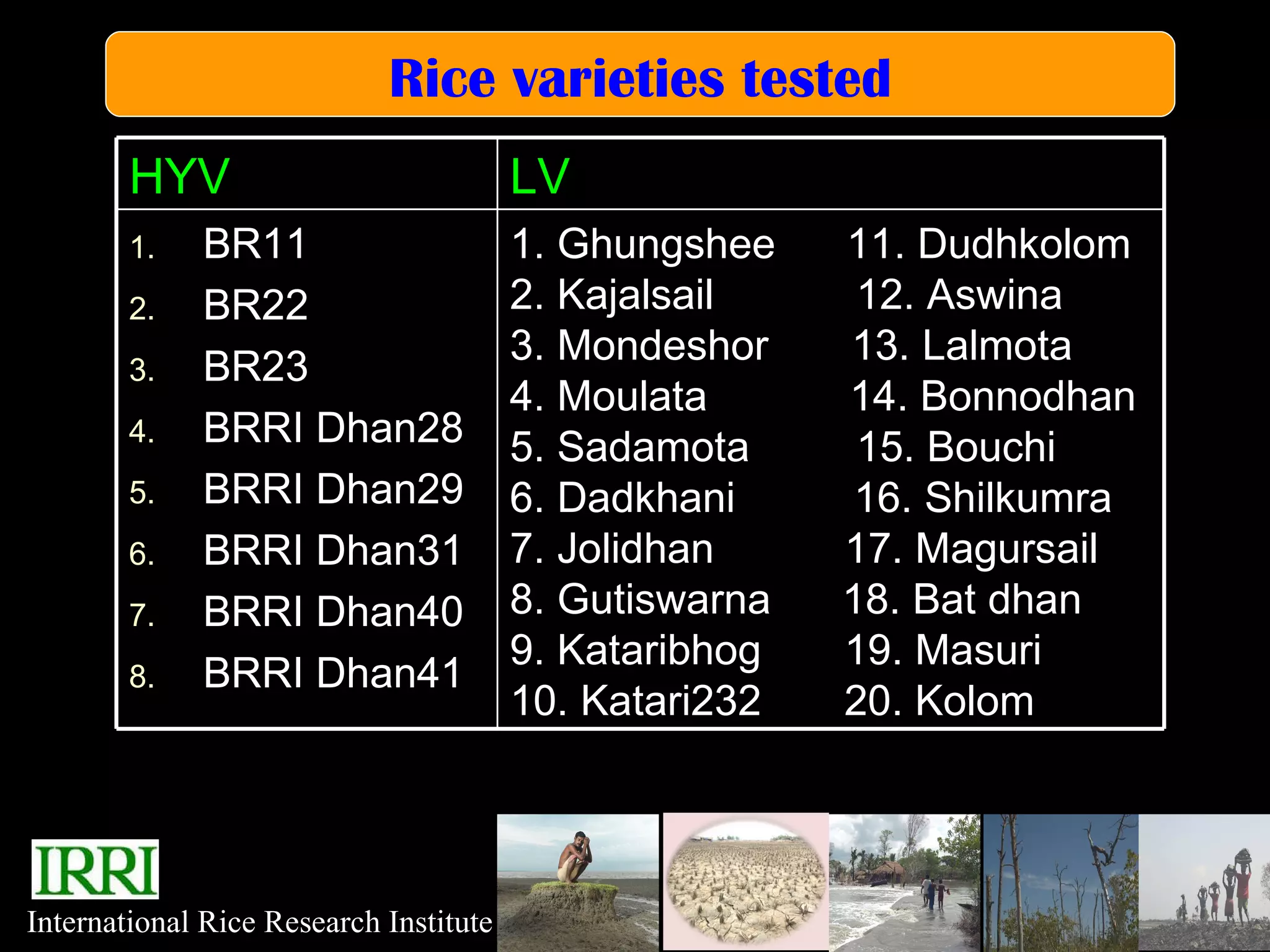 Sheikh Sattar - Nutritional Qualities of Bangladesh rice varieties | PPT