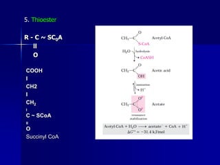 Hioester R Chuyển hóa năng lượng | PDF