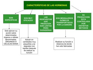 CARACTERÍSTICAS DE LAS HORMONAS
SON
ESPECIFICAS
SON MUY
EFICACES
SU
PRODUCCION
ESTA
CONTROLADA
POR
DISTINTOS
METODOS
Solo ejercen su
acción sobre
determinados
órganos o células
denominados
ÓRGANOS O
CÉLULAS DIANA
SON MENSAJEROS
QUÍMICOS
TRANSPORTADOS
POR LA SANGRE
Realizan su función a
distancia de donde
han sido fabricadas
LAS
RESPUESTAS
QUE
PRODUCEN
SON LENTAS
PERO
DURADERAS
Actúan en
cantidades muy
pequeñas y se
degradan con
rapidez después
de realizar su
función
 