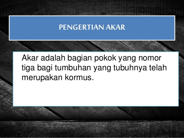 Ppt Morfologi Tumbuhan Akar