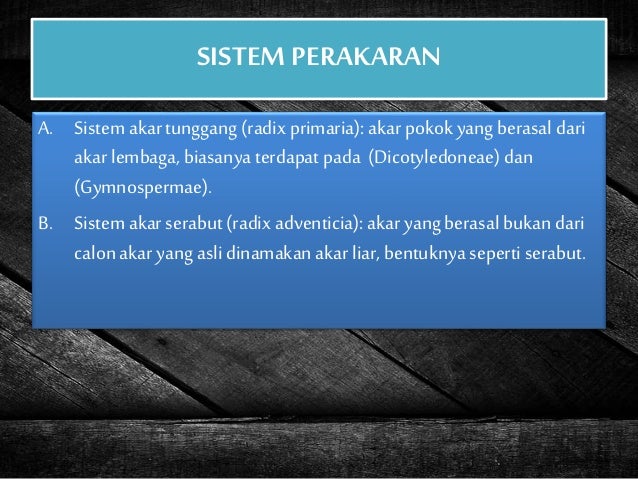 Ppt Morfologi Tumbuhan Akar