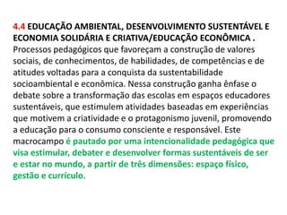 4.4 EDUCAÇÃO AMBIENTAL, DESENVOLVIMENTO SUSTENTÁVEL E 
ECONOMIA SOLIDÁRIA E CRIATIVA/EDUCAÇÃO ECONÔMICA . 
Processos pedagógicos que favoreçam a construção de valores 
sociais, de conhecimentos, de habilidades, de competências e de 
atitudes voltadas para a conquista da sustentabilidade 
socioambiental e econômica. Nessa construção ganha ênfase o 
debate sobre a transformação das escolas em espaços educadores 
sustentáveis, que estimulem atividades baseadas em experiências 
que motivem a criatividade e o protagonismo juvenil, promovendo 
a educação para o consumo consciente e responsável. Este 
macrocampo é pautado por uma intencionalidade pedagógica que 
visa estimular, debater e desenvolver formas sustentáveis de ser 
e estar no mundo, a partir de três dimensões: espaço físico, 
gestão e currículo. 
 