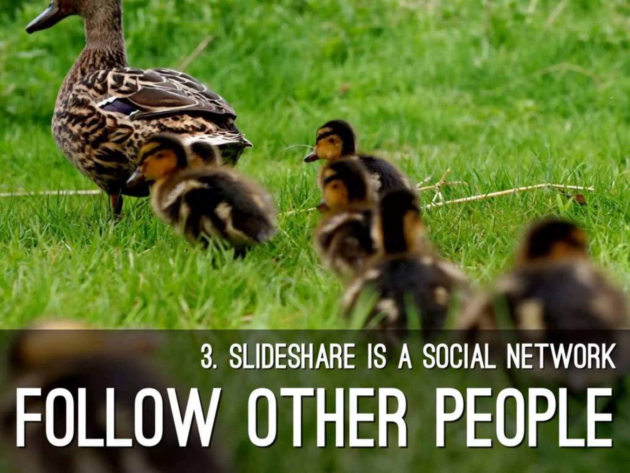 7 SlideShare Secrets by @ross