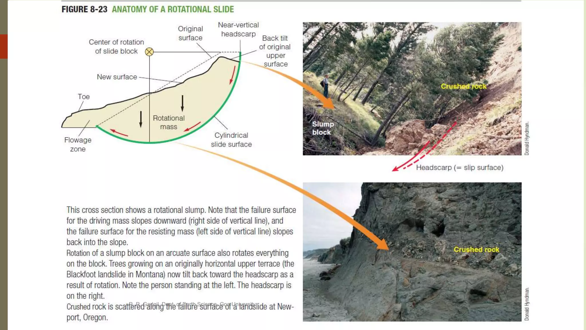 Classification
R. R. Gadgil, Dept. of Earth Science, Goa University
31
 