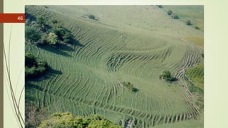 R. R. Gadgil, Dept. of Earth Science, Goa University
46
 