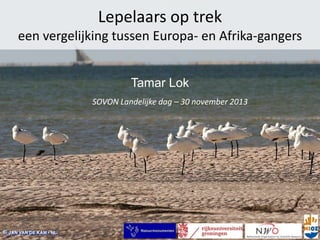 Lepelaars op trek
een vergelijking tussen Europa- en Afrika-gangers
Tamar Lok
SOVON Landelijke dag – 30 november 2013

 