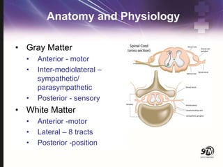 Anatomy and Physiology
• Gray Matter
• Anterior - motor
• Inter-mediolateral –
sympathetic/
parasympathetic
• Posterior - sensory
• White Matter
• Anterior -motor
• Lateral – 8 tracts
• Posterior -position
 