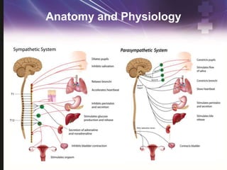 Anatomy and Physiology
 