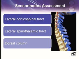 Sensorimotor Assessment
Lateral corticospinal tract
Lateral spinothalamic tract
Dorsal column
 