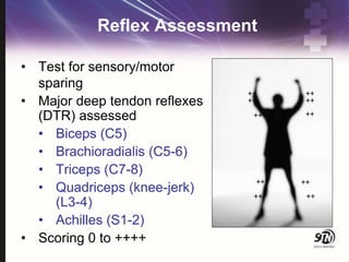 Reflex Assessment
• Test for sensory/motor
sparing
• Major deep tendon reflexes
(DTR) assessed
• Biceps (C5)
• Brachioradialis (C5-6)
• Triceps (C7-8)
• Quadriceps (knee-jerk)
(L3-4)
• Achilles (S1-2)
• Scoring 0 to ++++
++
++
++
++
++
++
++
++
++
++
 