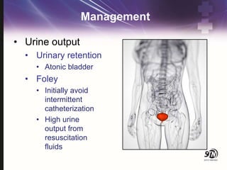 Management
• Urine output
• Urinary retention
• Atonic bladder
• Foley
• Initially avoid
intermittent
catheterization
• High urine
output from
resuscitation
fluids
 