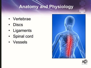 Anatomy and Physiology
• Vertebrae
• Discs
• Ligaments
• Spinal cord
• Vessels
 