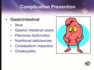 Complication Prevention
• Gastrointestinal
• Ileus
• Gastric/ intestinal ulcers
• Pancreas dysfunction
• Nutritional deficiencies
• Constipation/ impaction
• Cholecystitis
 