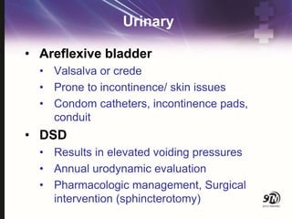 Urinary
• Areflexive bladder
• Valsalva or crede
• Prone to incontinence/ skin issues
• Condom catheters, incontinence pads,
conduit
• DSD
• Results in elevated voiding pressures
• Annual urodynamic evaluation
• Pharmacologic management, Surgical
intervention (sphincterotomy)
 