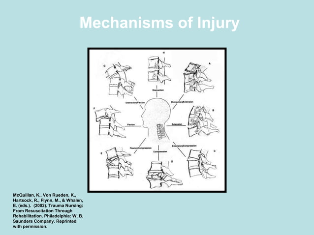 7_Spinal Column and Spinal Cord Injuries (1).pptx